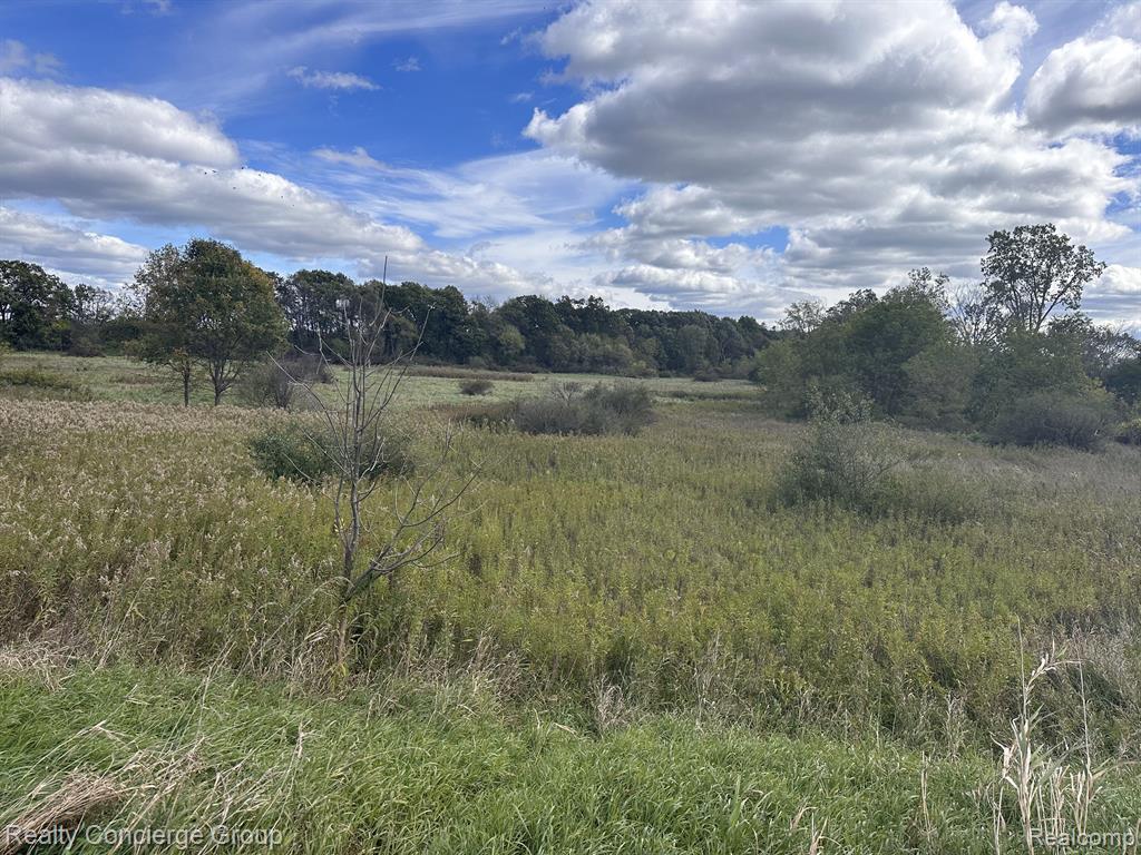 0 South Bull Run Road Fowlerville, MI 48836 - Photo 17 of 18 Gallery Image 17
