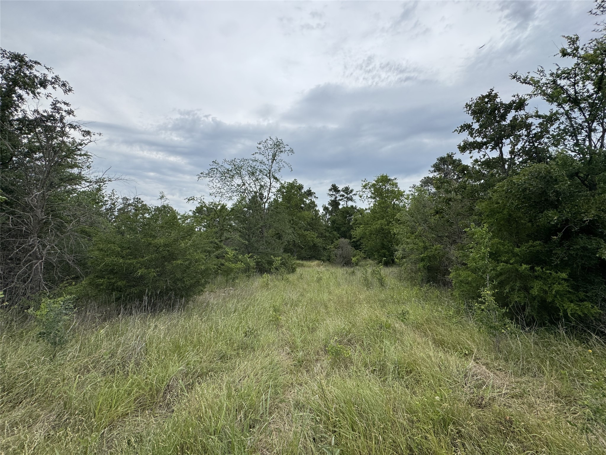 T4 Round Prairie Road Huntsville, TX 77320 - Photo 1 of 15 a view of a lake with green space