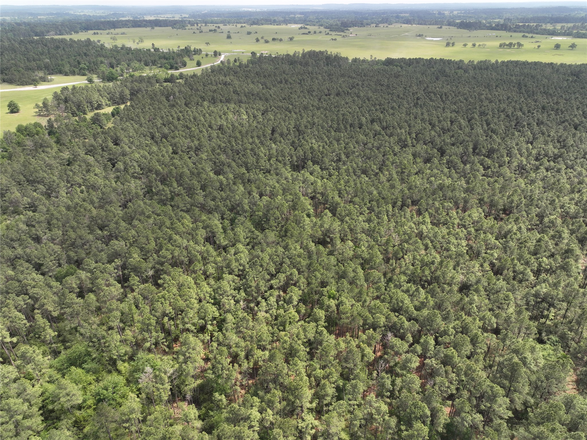 T4 Round Prairie Road Huntsville, TX 77320 - Photo 11 of 15