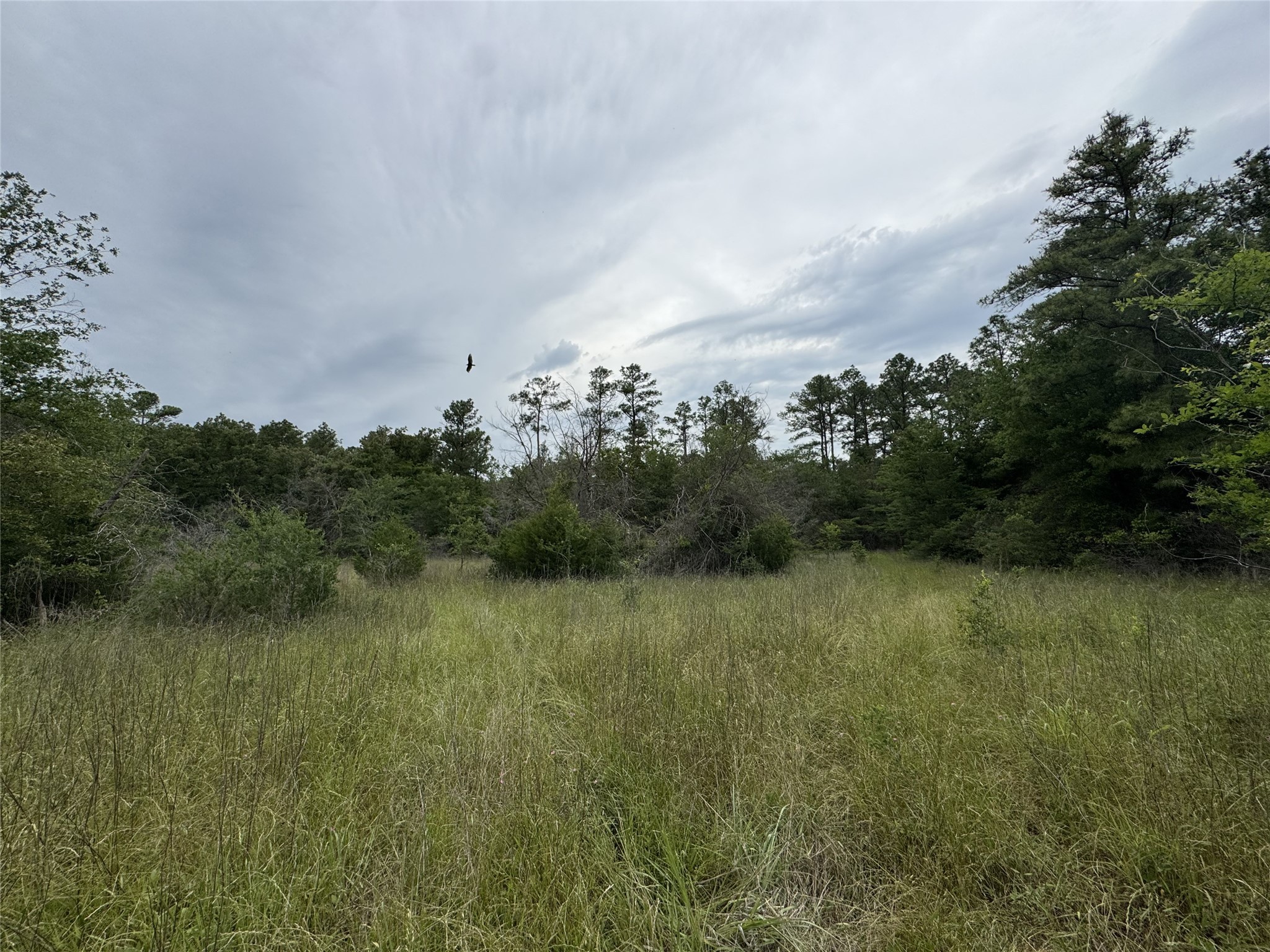 T4 Round Prairie Road Huntsville, TX 77320 - Photo 2 of 15 a view of a lake top and mountain view