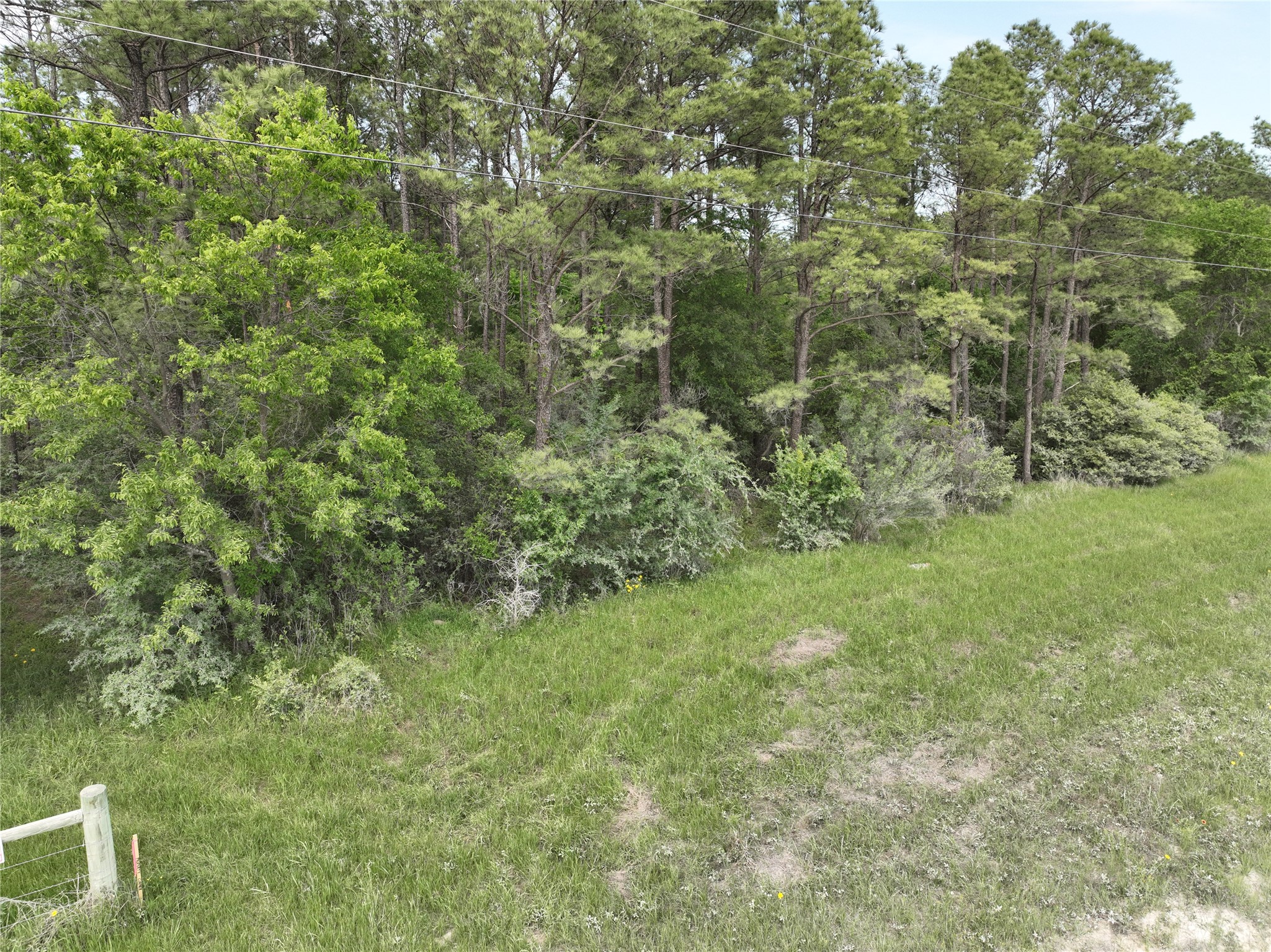 T4 Round Prairie Road Huntsville, TX 77320 - Photo 5 of 15 a view of a big yard with plants and large trees