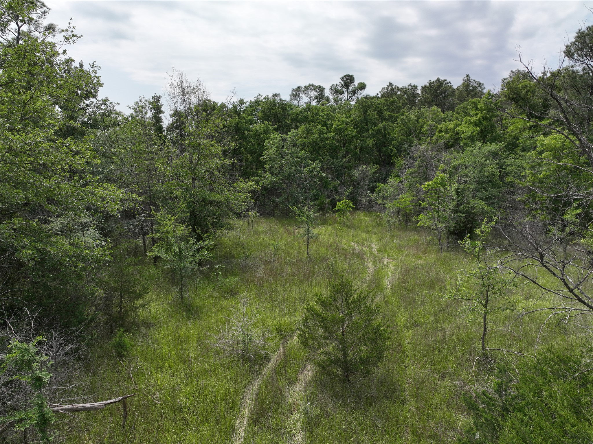 T4 Round Prairie Road Huntsville, TX 77320 - Photo 6 of 15 a view of a lush green space
