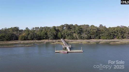 244 Sam Doyle Road St. Helena Island, SC 29920 - Photo 3 of 8