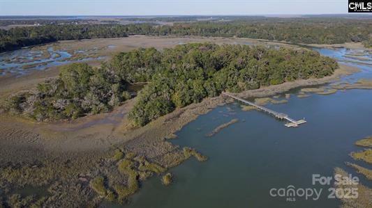 244 Sam Doyle Road St. Helena Island, SC 29920 - Photo 6 of 8