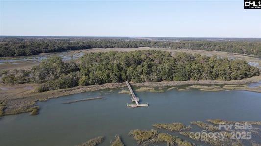 244 Sam Doyle Road St. Helena Island, SC 29920 - Photo 7 of 8