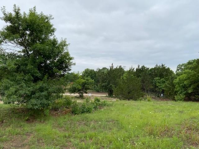 Tbd Bluebonnet Drive Van Alstyne, TX 75495 - Photo 3 of 4