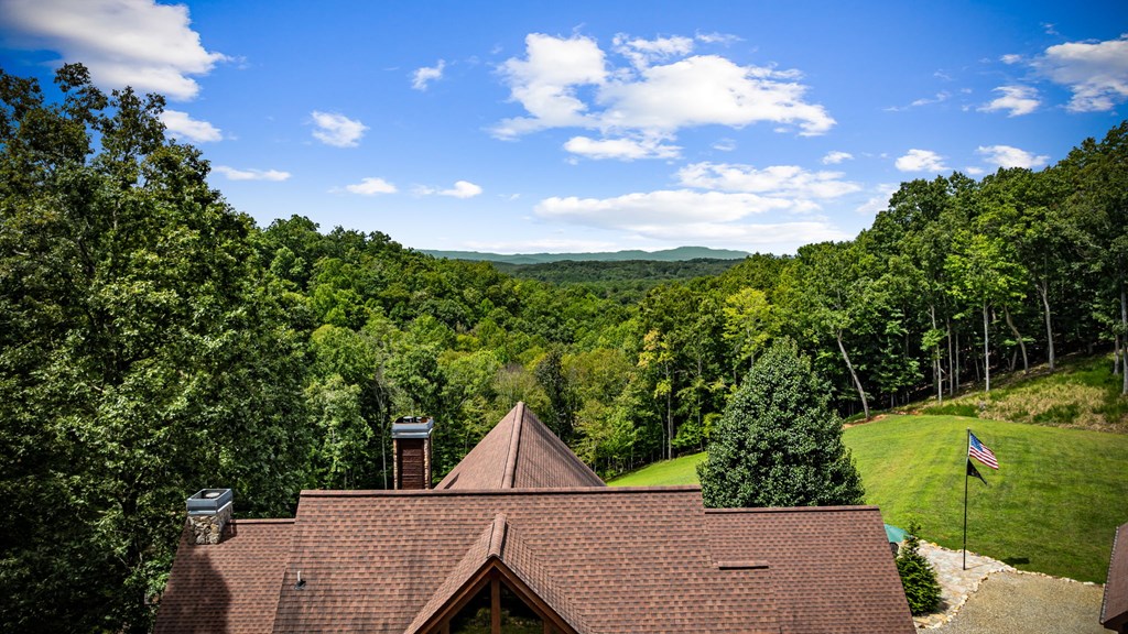 669 Wilscot Farms Road Morganton, GA 30560 - Photo 2 of 100 Gallery Image 2