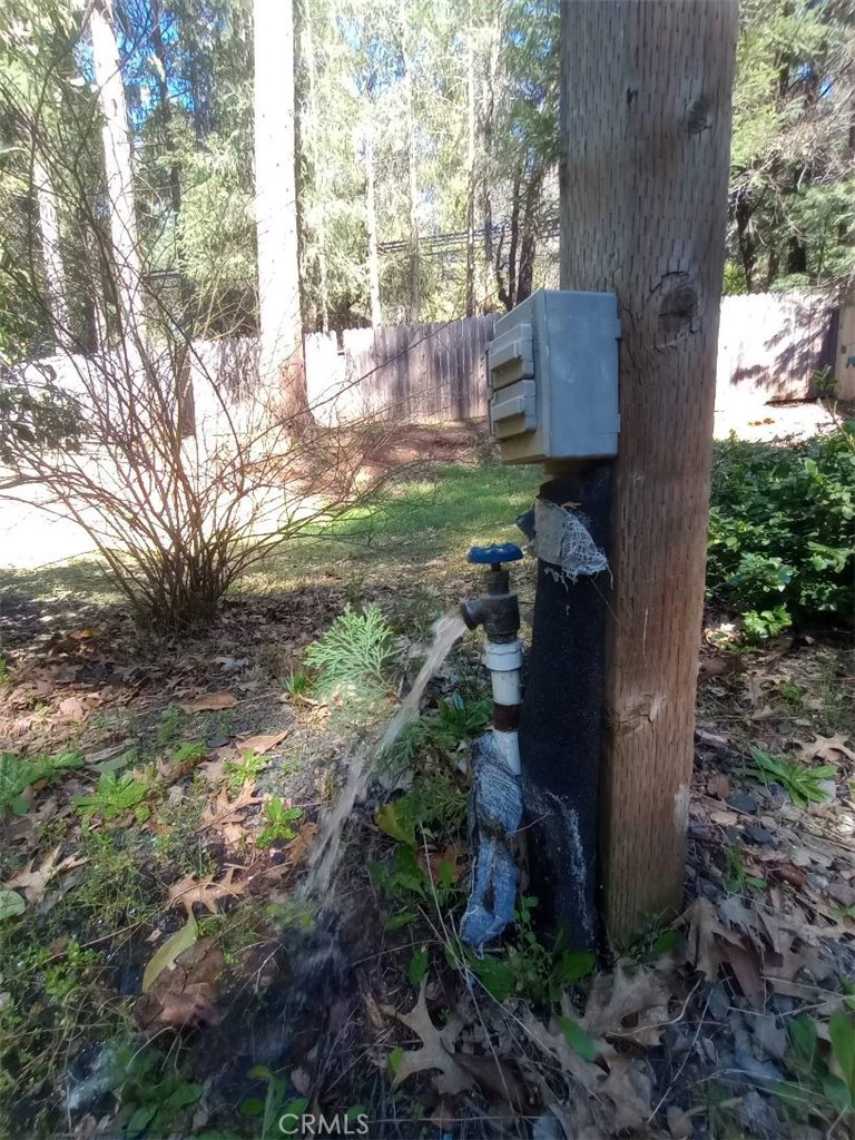 14786 Masterson Way Magalia, CA 95954 - Photo 31 of 51 water spouts for gardening