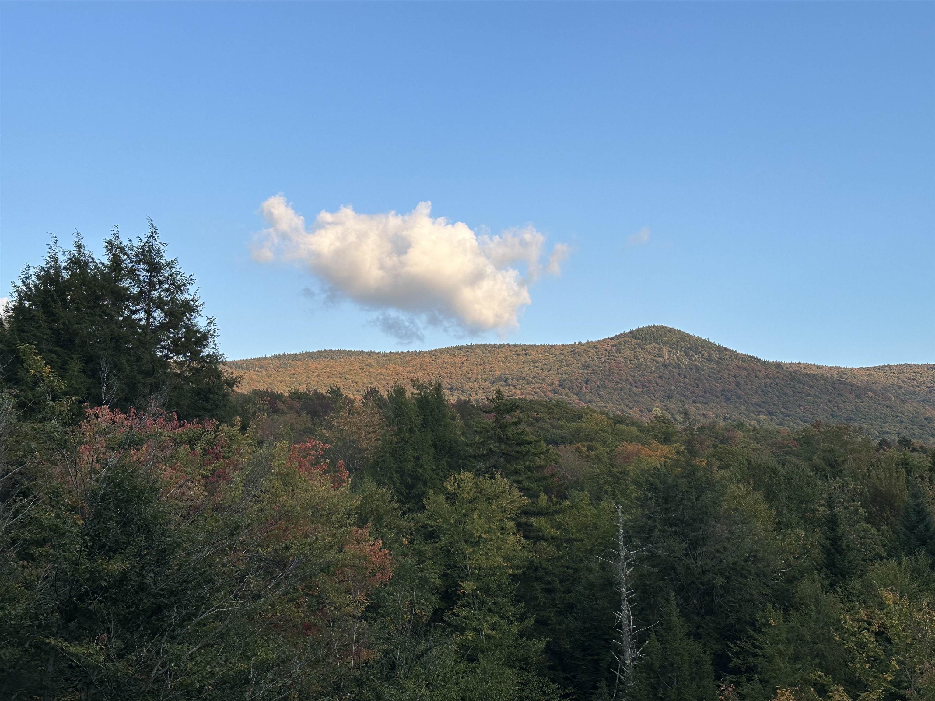 132 Willow Street Warren, VT 05674 - Photo 52 of 60