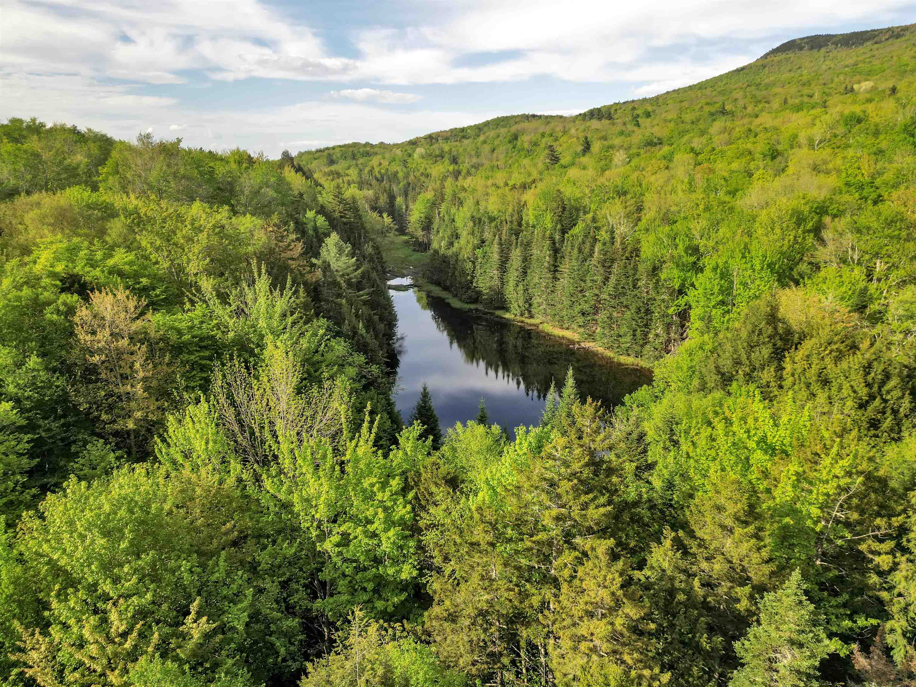 132 Willow Street Warren, VT 05674 - Photo 57 of 60