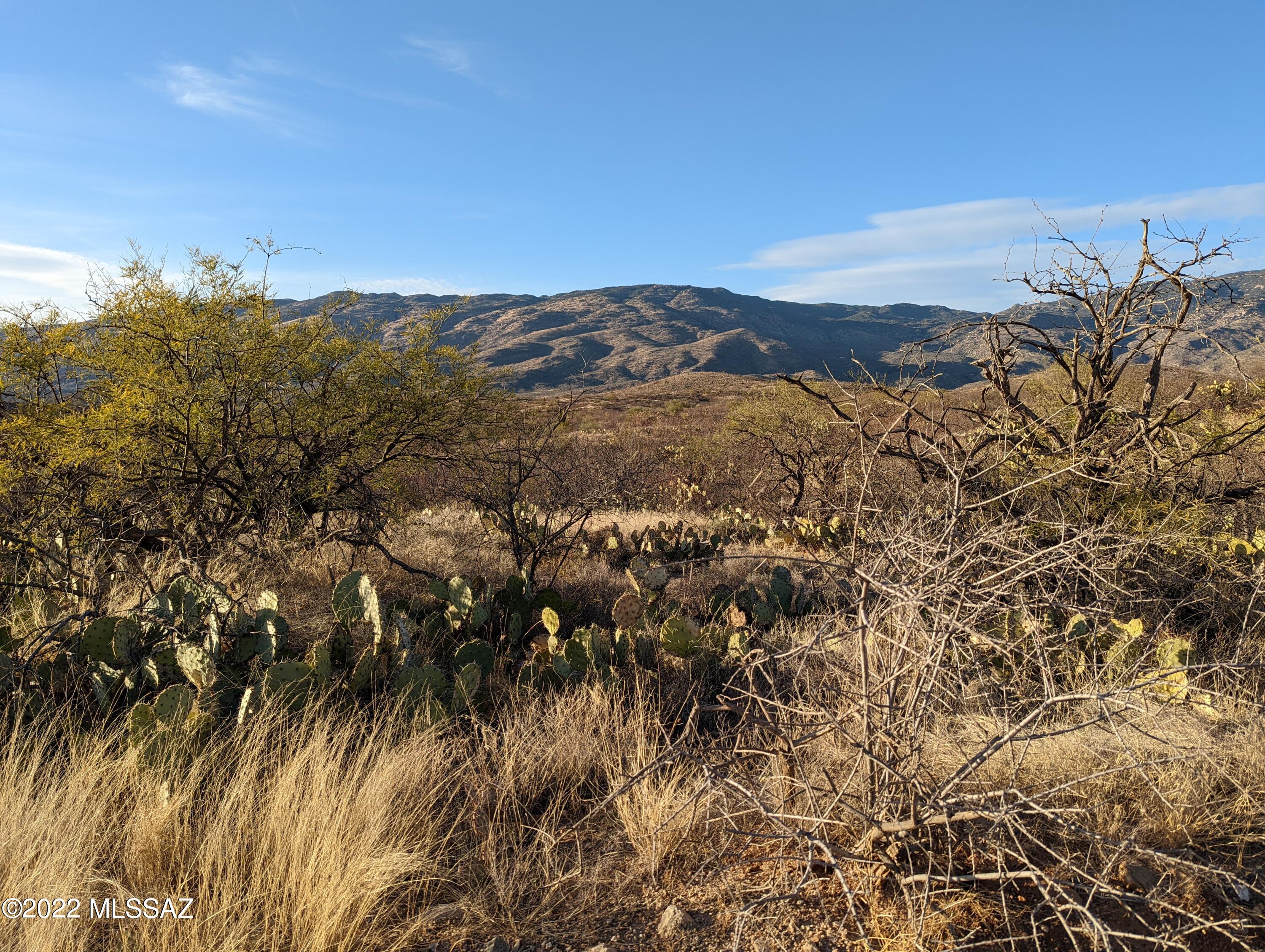 1 South Pistol Hill Road Vail, AZ 85641 - Photo 14 of 17