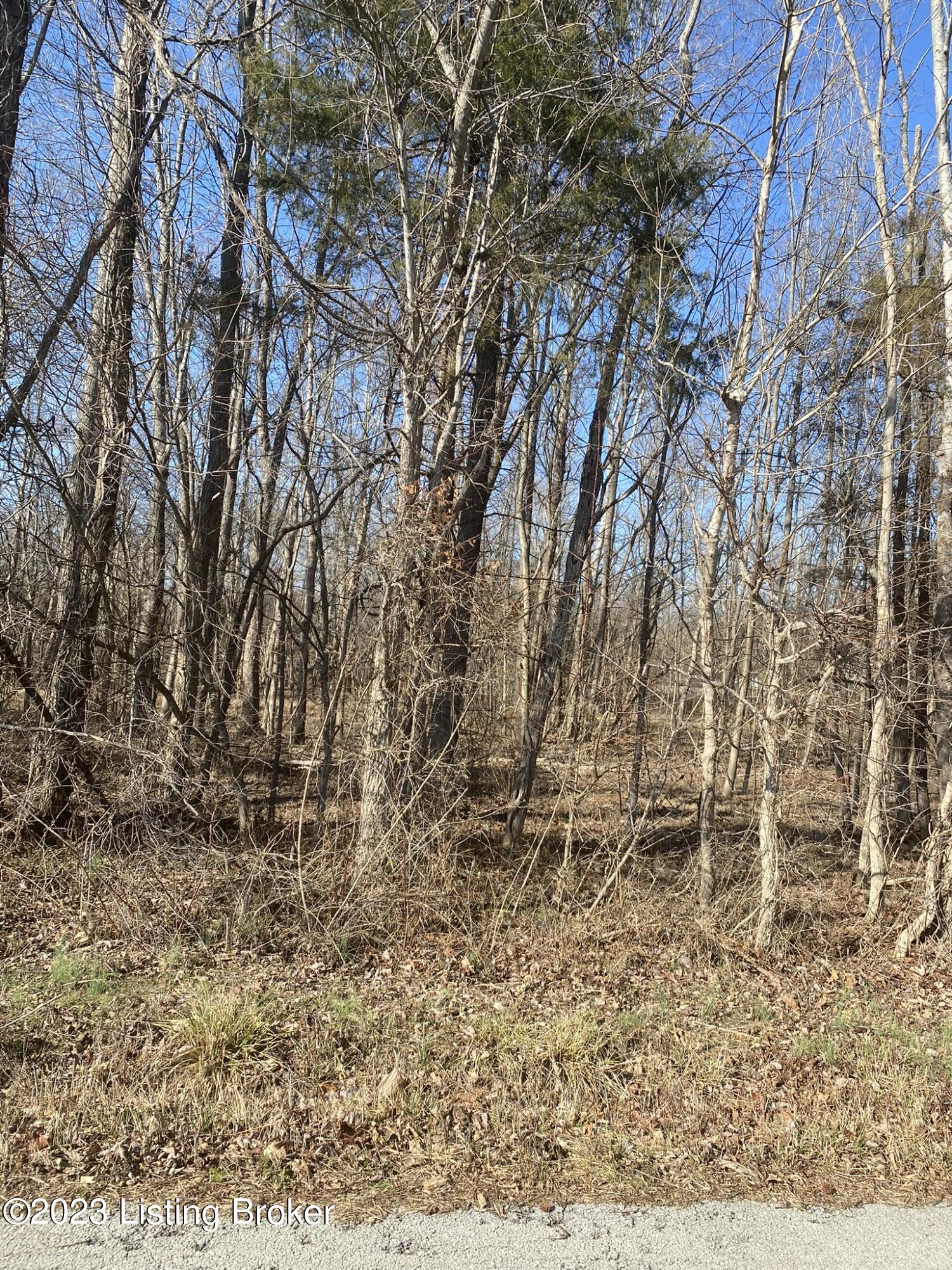 3711 Collings Hill Road Lebanon Junction, KY 40150 - Photo 1 of 1 Lot