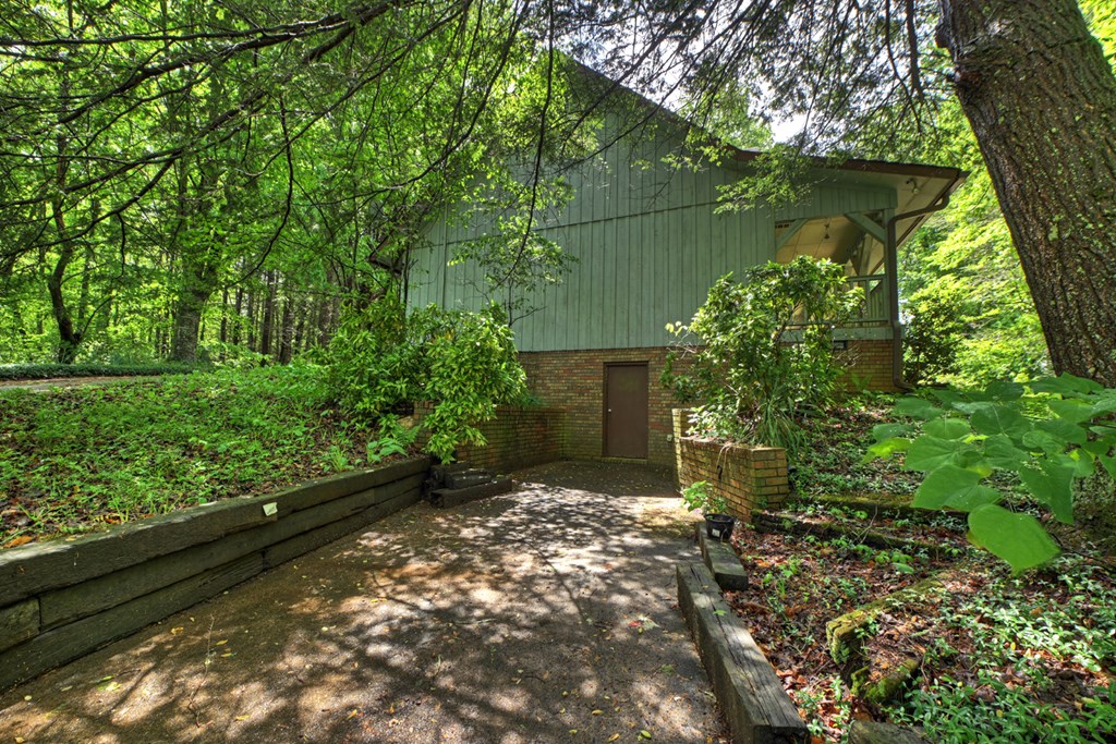 47 Harris Drive Blue Ridge, GA 30513 - Photo 39 of 56 Basement entrance