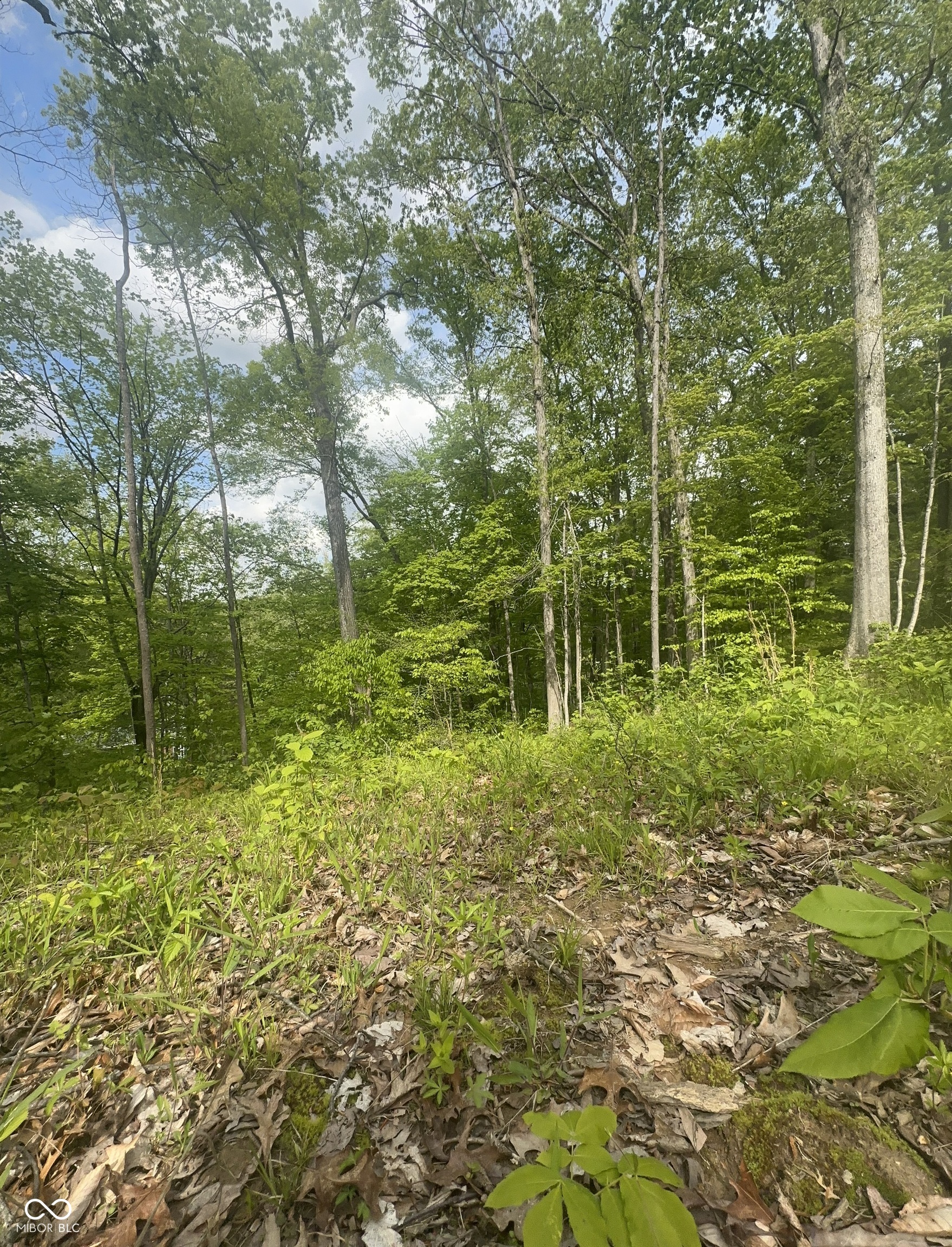 0 North Lasalle Road Morgantown, IN 46160 - Photo 2 of 7