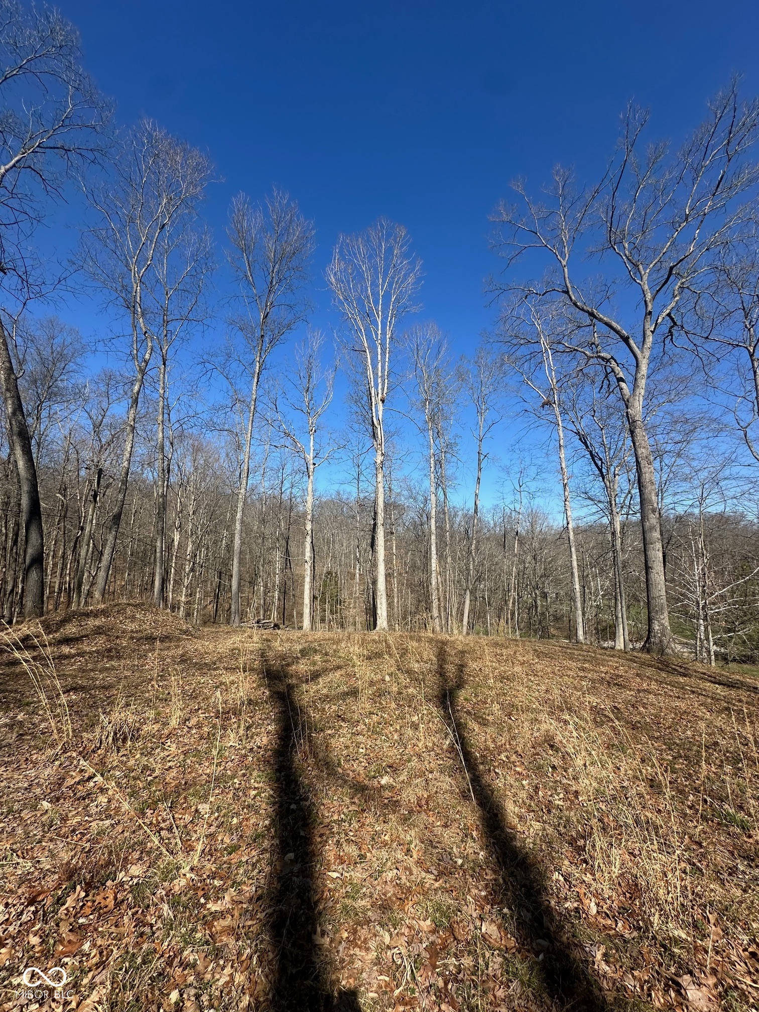 0 North Lasalle Road Morgantown, IN 46160 - Photo 3 of 8