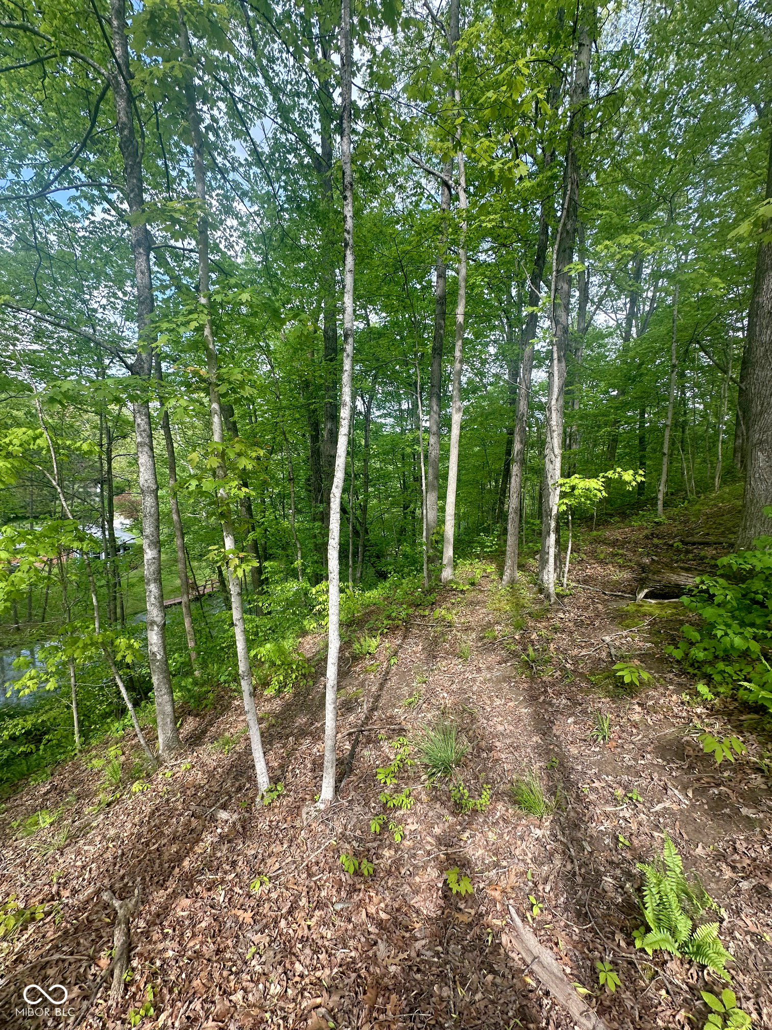 0 North Lasalle Road Morgantown, IN 46160 - Photo 5 of 7