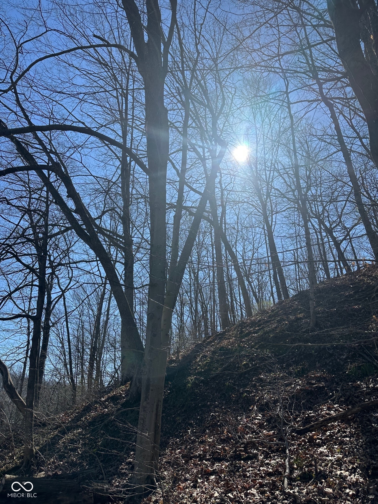 0 North Lasalle Road Morgantown, IN 46160 - Photo 7 of 8