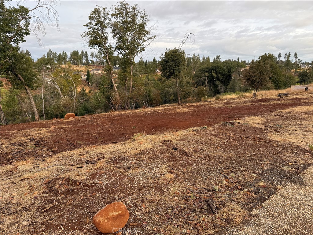 2150 De Mille Road Paradise, CA 95969 - Photo 5 of 5 a view of a backyard of a house