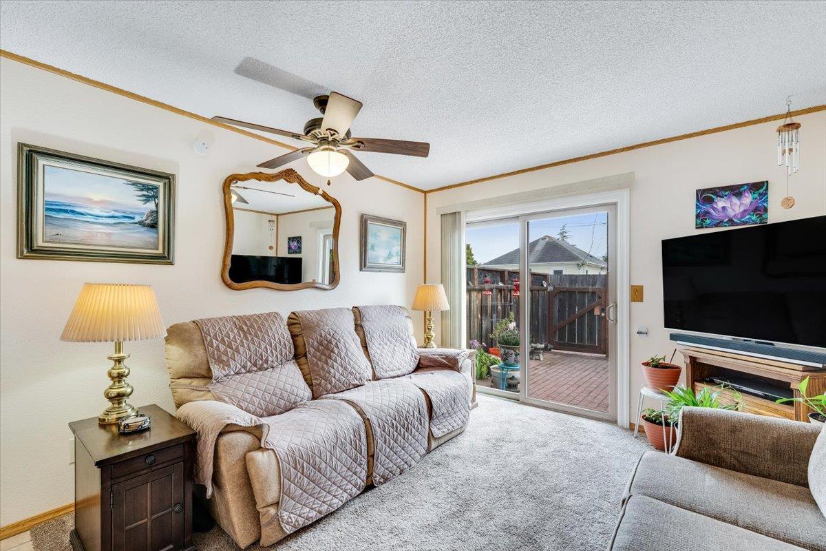 338 Dufour Street Santa Cruz, CA 95060 - Photo 7 of 26