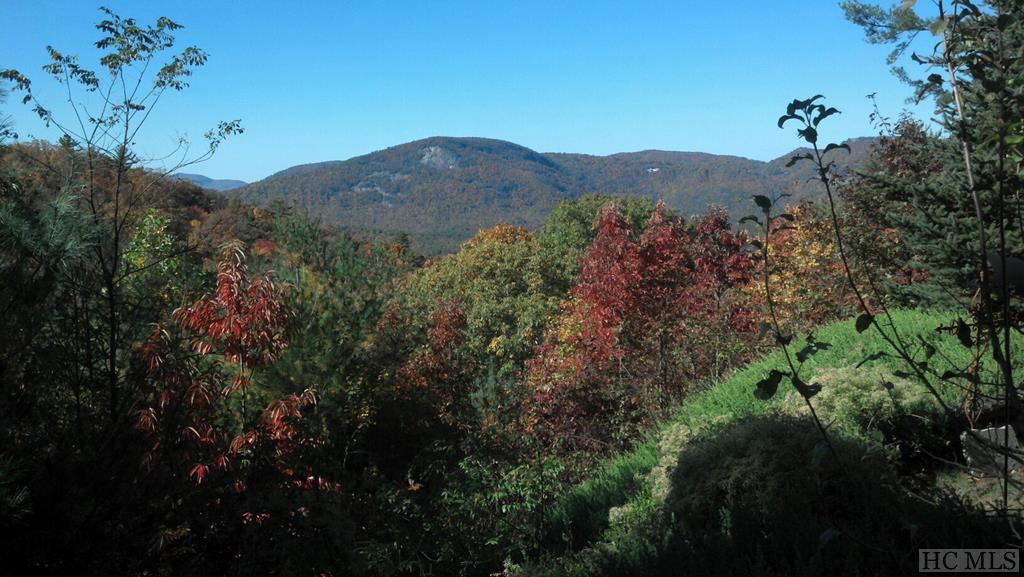 1689 Found Forest Road Cashiers, NC 28717 - Photo 23 of 23 Gallery Image 23