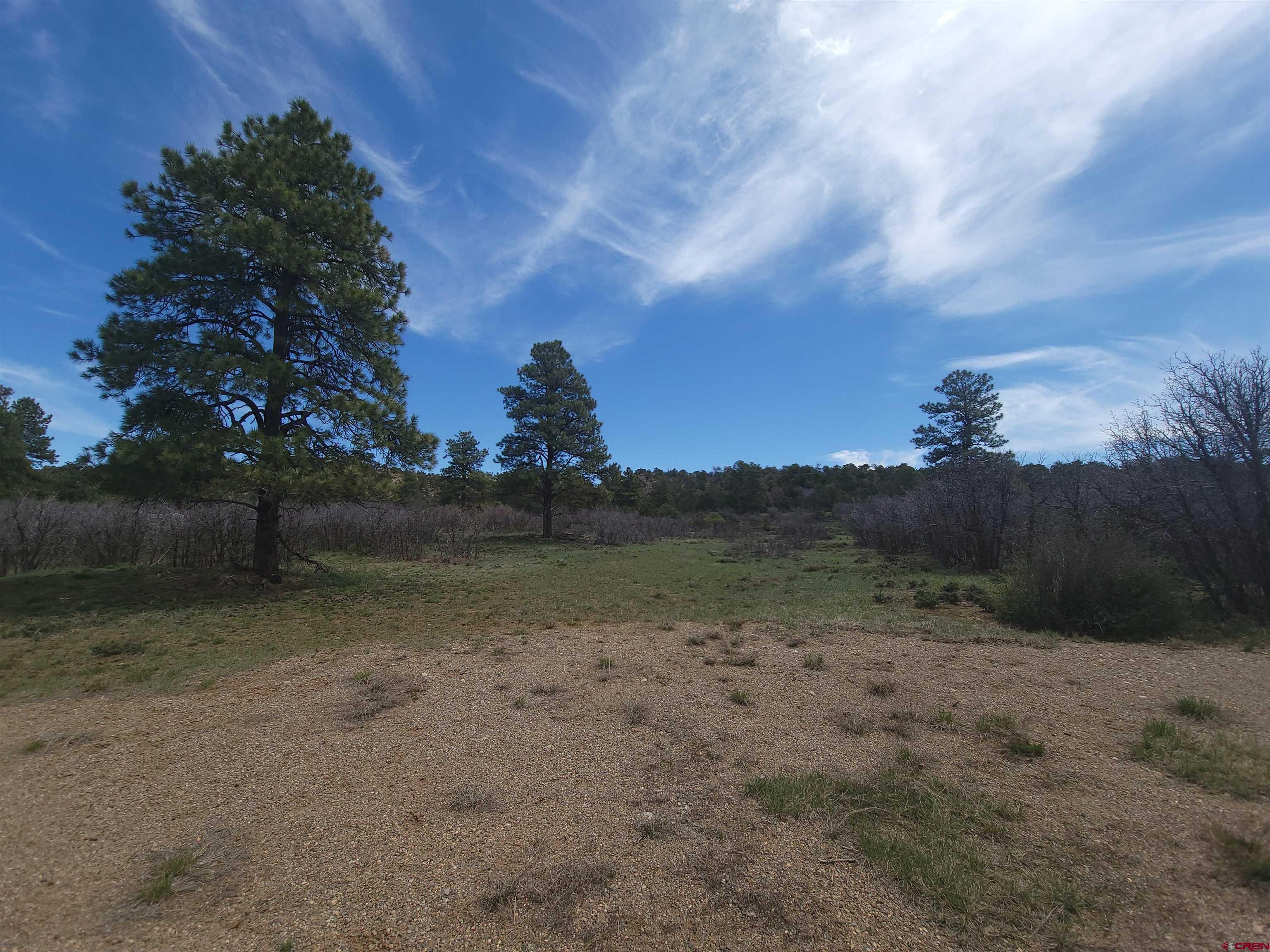 469 Fantango Road Durango, CO 81301 - Photo 6 of 16 Gallery Image 6