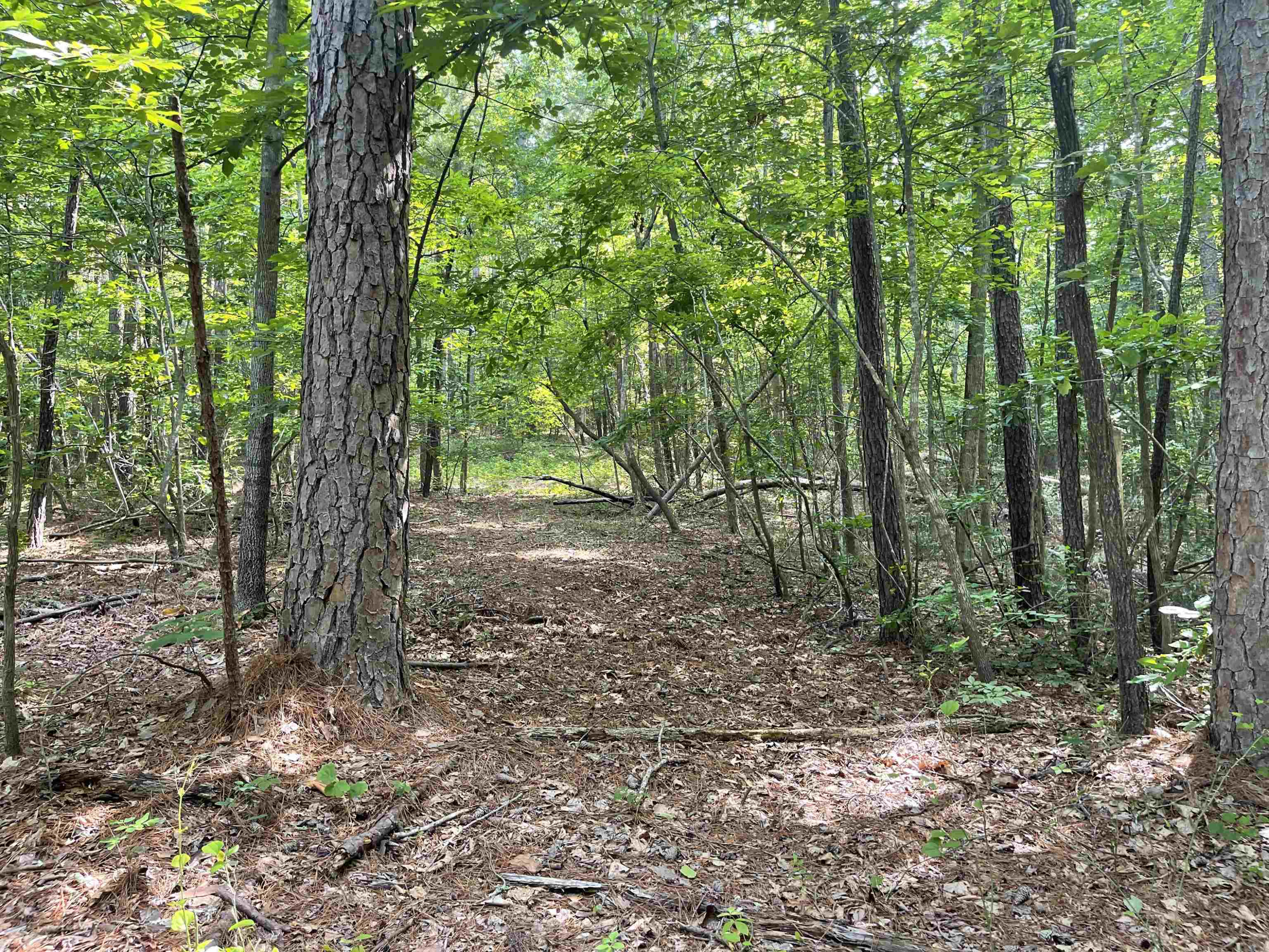 435 Hickory Pond Road Chapel Hill, NC 27517 - Photo 11 of 12 Photo 11