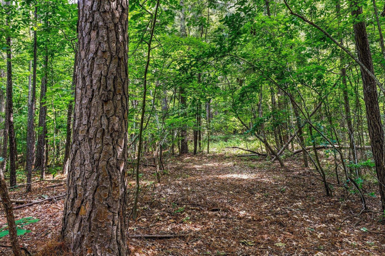 435 Hickory Pond Road Chapel Hill, NC 27517 - Photo 4 of 12 Photo 4