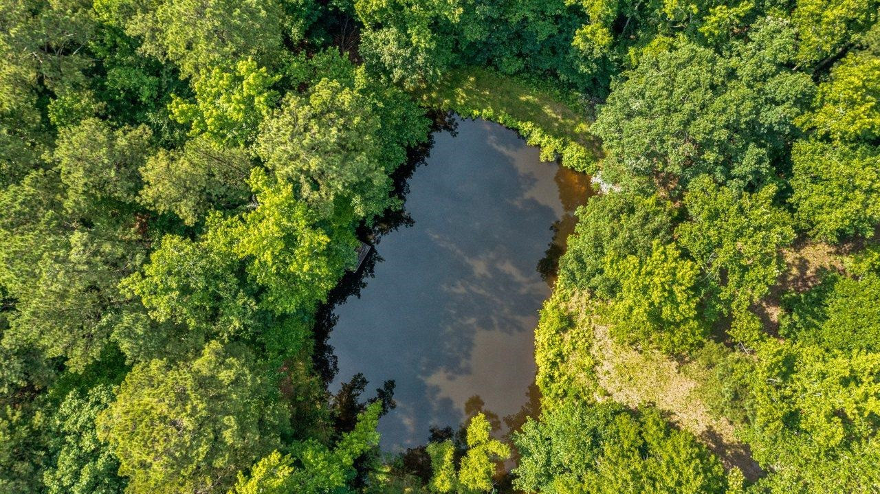 435 Hickory Pond Road Chapel Hill, NC 27517 - Photo 7 of 12 Photo 7