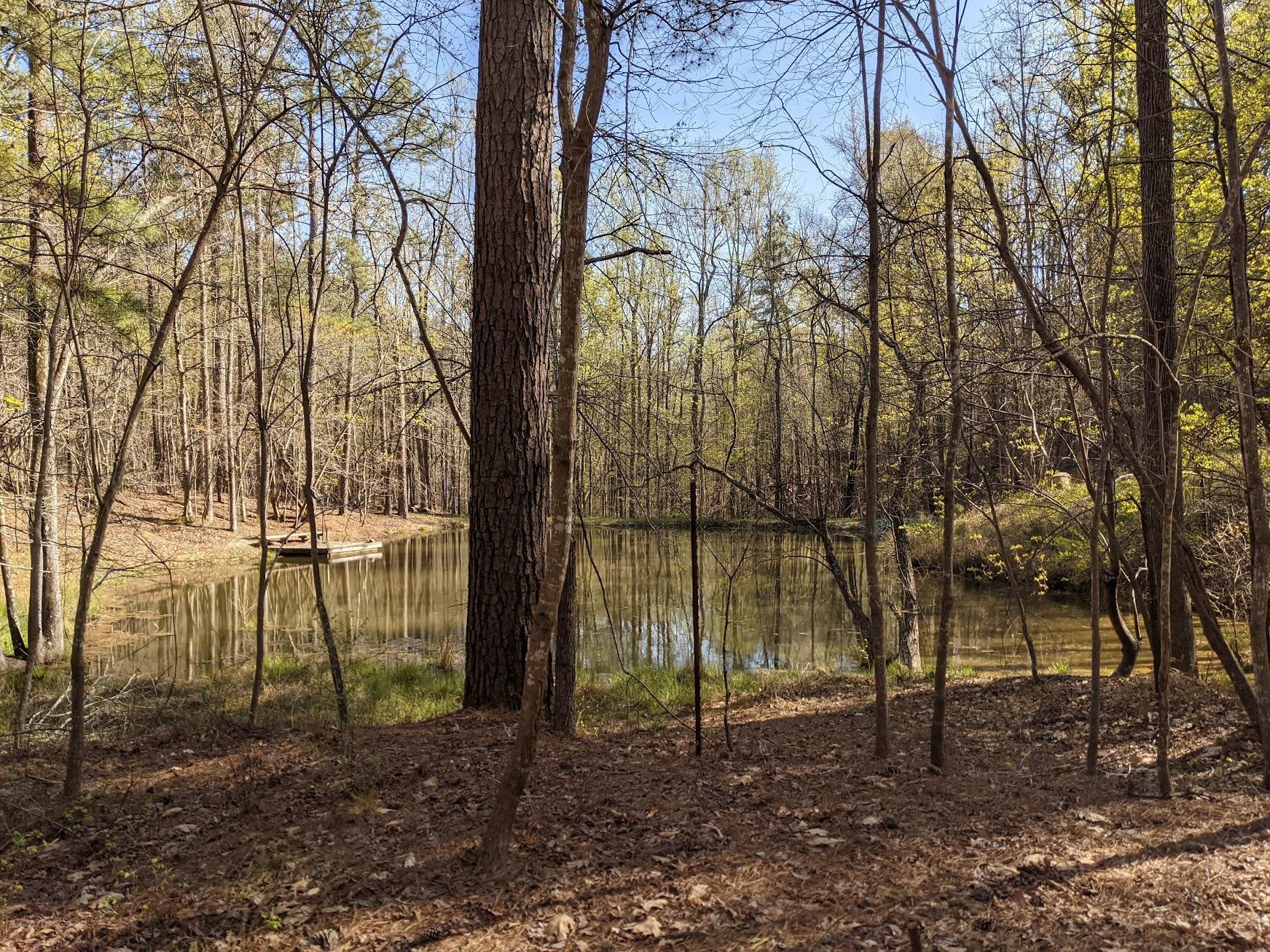 435 Hickory Pond Road Chapel Hill, NC 27517 - Photo 8 of 12 Photo 8