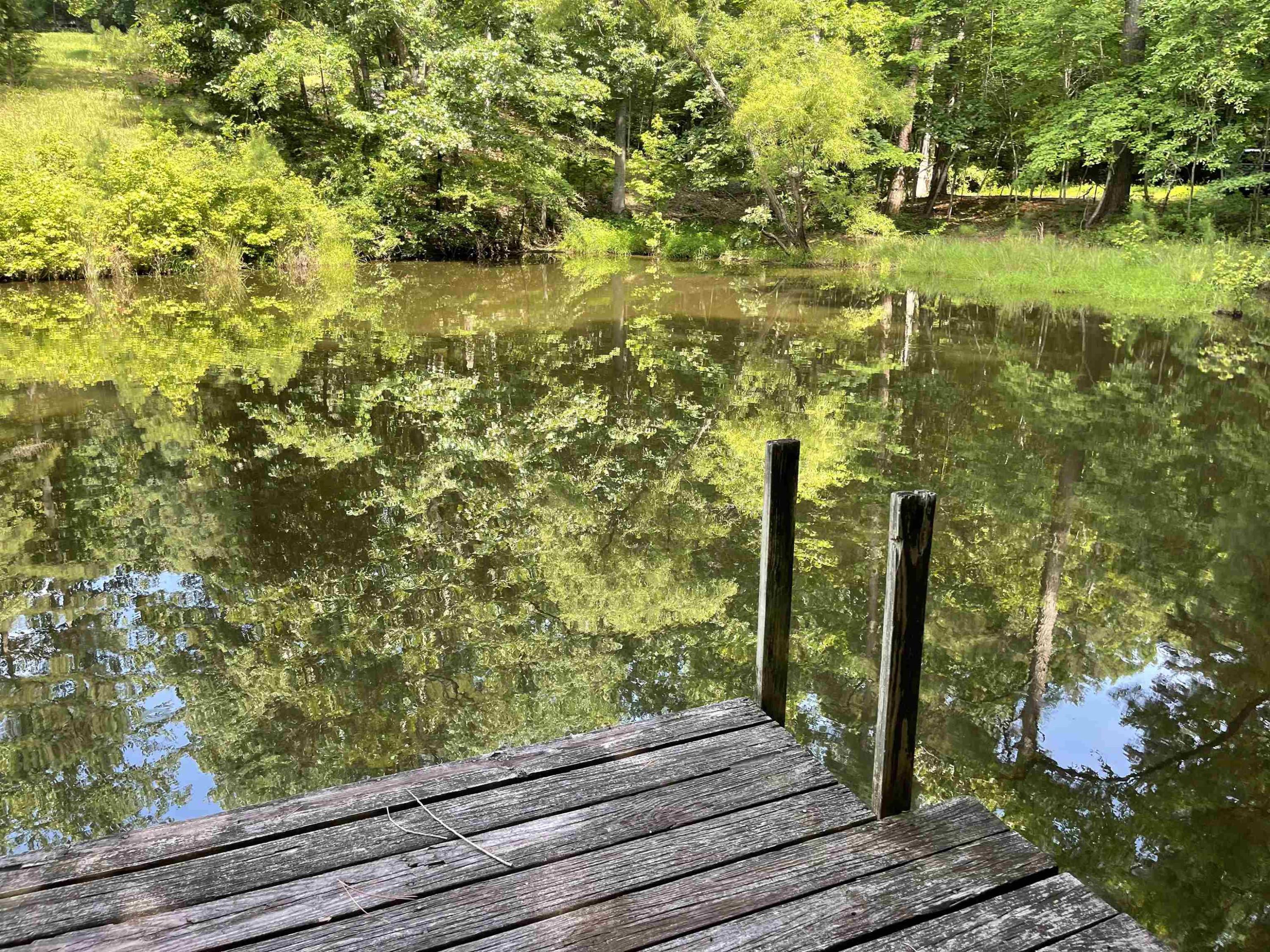 435 Hickory Pond Road Chapel Hill, NC 27517 - Photo 9 of 12 Photo 9