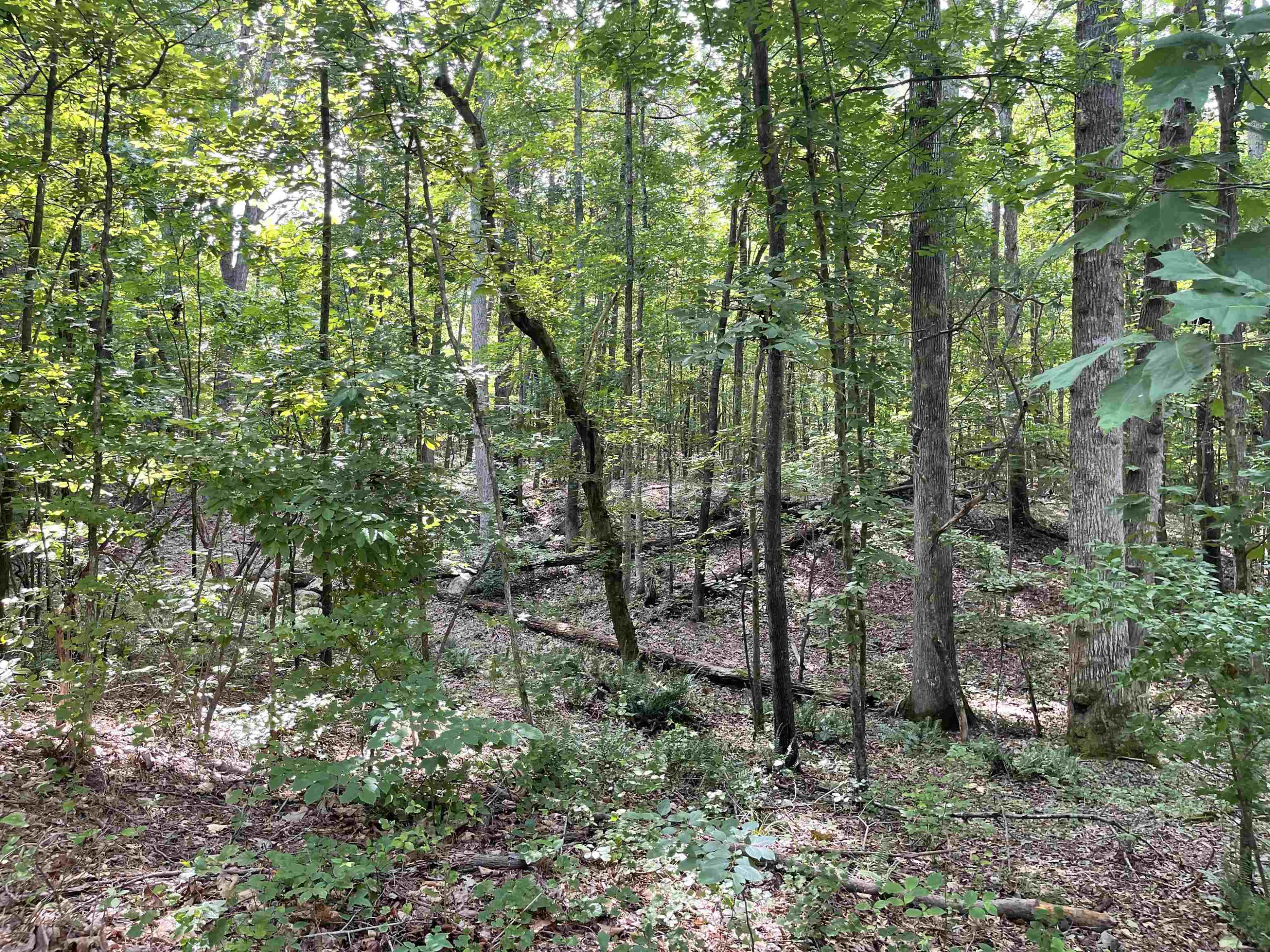 435 Hickory Pond Road Chapel Hill, NC 27517 - Photo 10 of 12 Photo 10