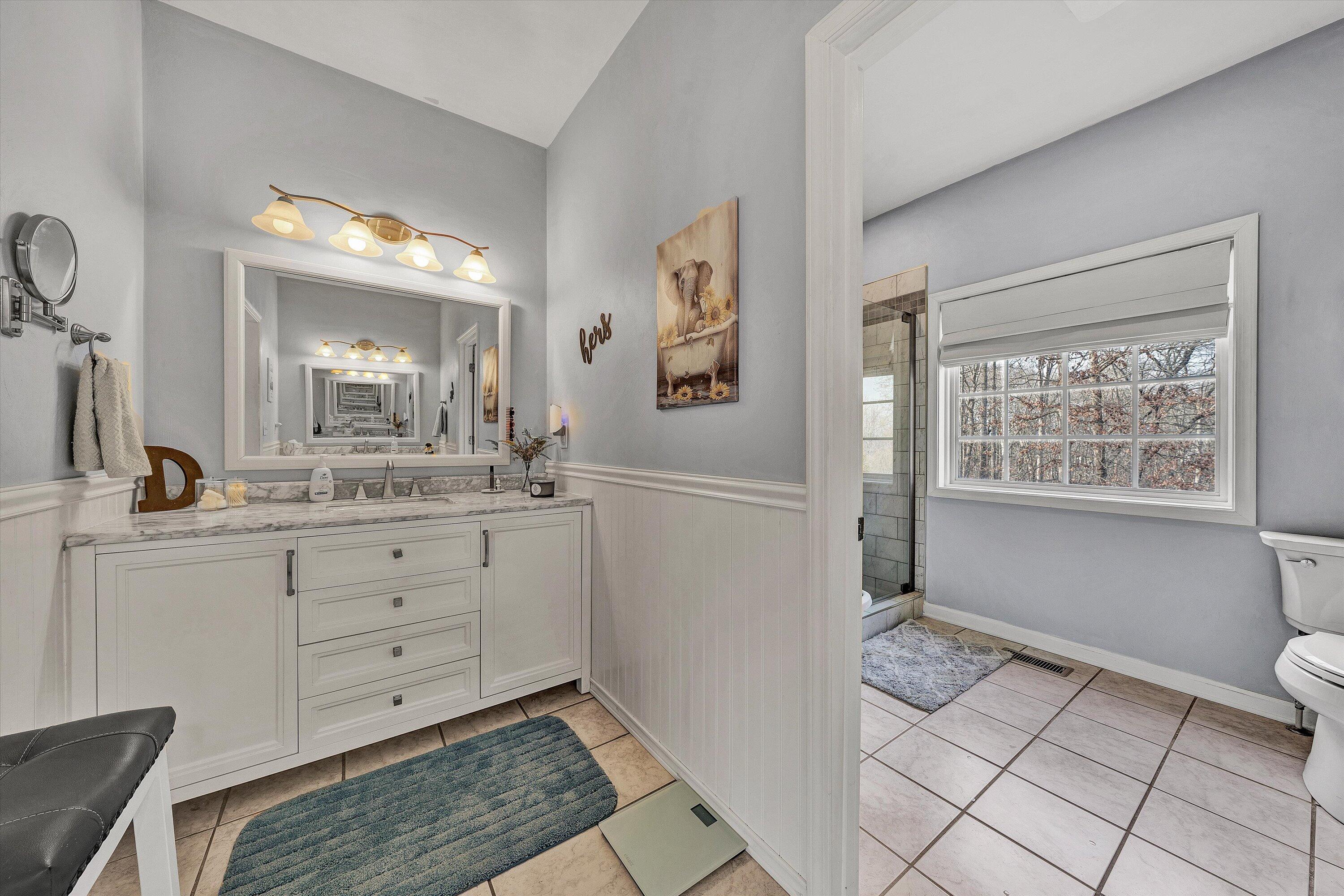 1615 Morewood Road Hardy, VA 24101 - Photo 23 of 46 a bathroom with a sink toilet and mirror
