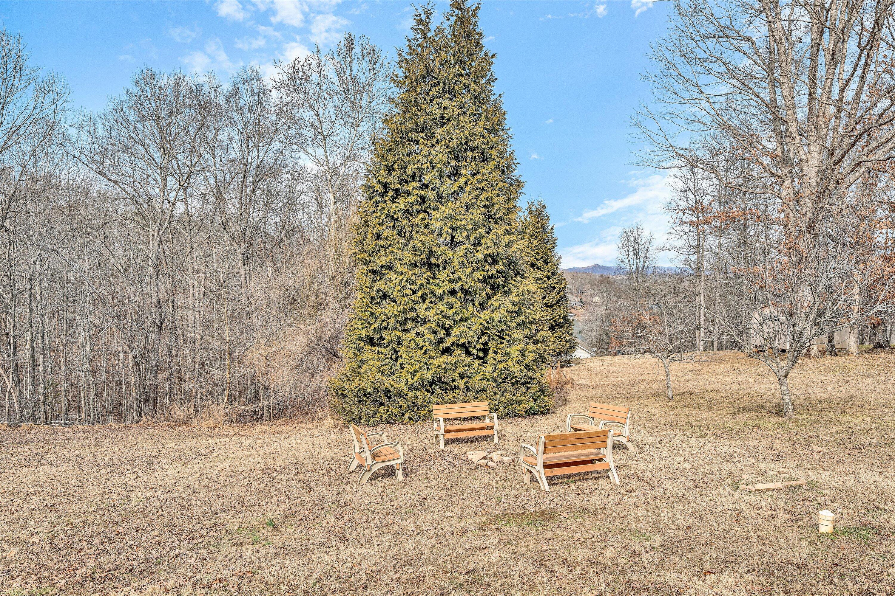 1615 Morewood Road Hardy, VA 24101 - Photo 37 of 46 a backyard of a house with lots of green space