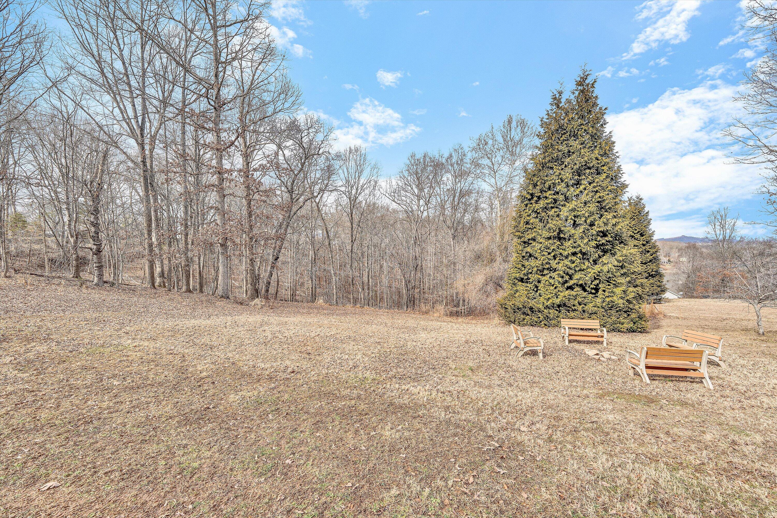 1615 Morewood Road Hardy, VA 24101 - Photo 38 of 46 a view of outdoor space with trees