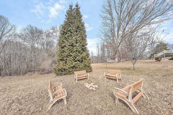 a view of a flower garden