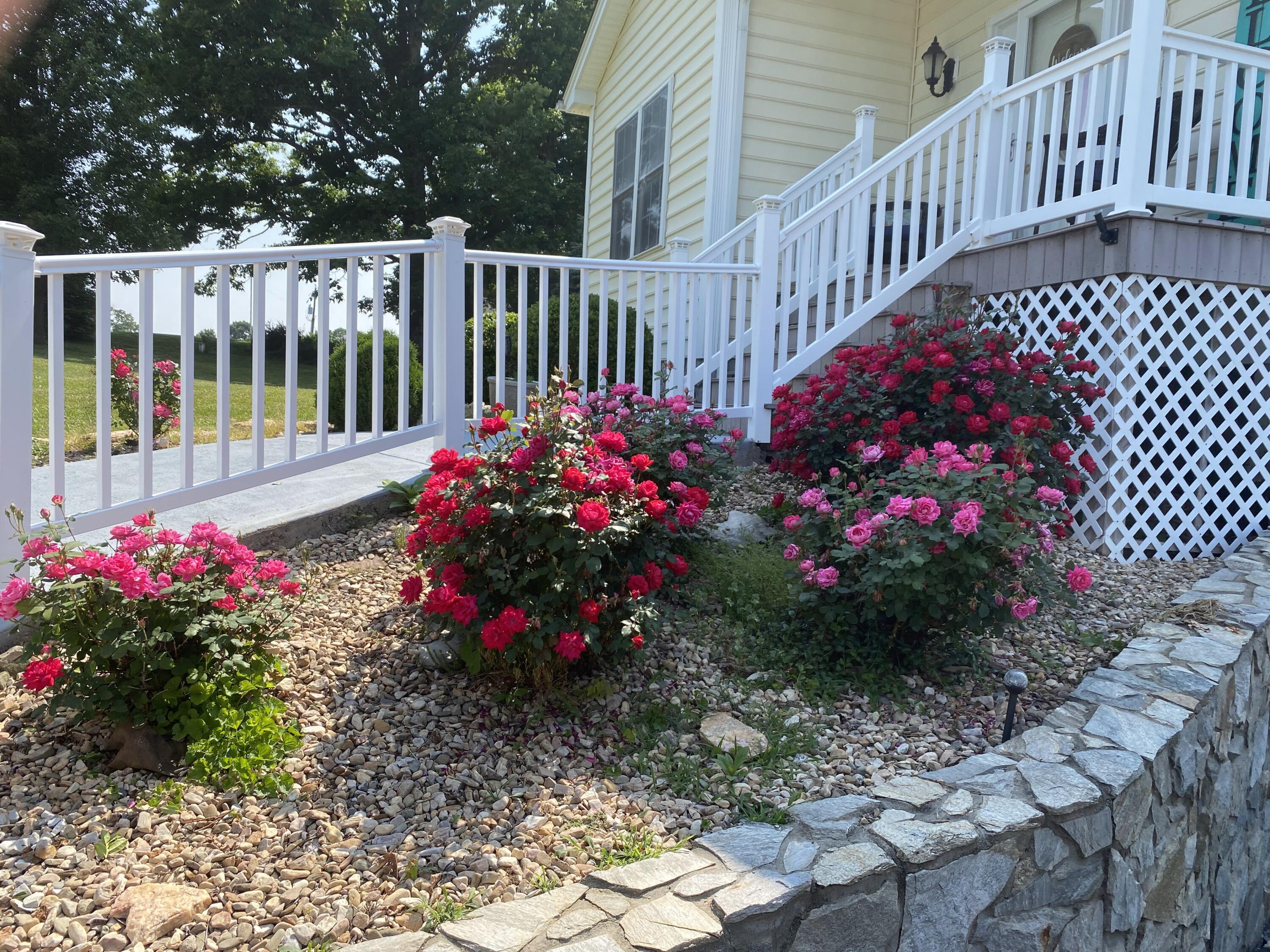 1615 Morewood Road Hardy, VA 24101 - Photo 42 of 46 a view of a flower garden