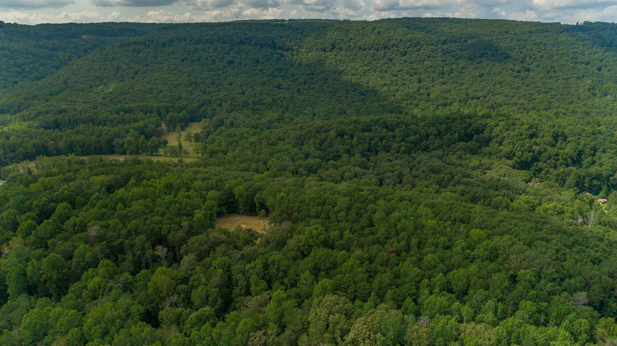 433 Coleman Road Soddy Daisy, TN 37379 - Photo 21 of 33 433 Coleman Road-19