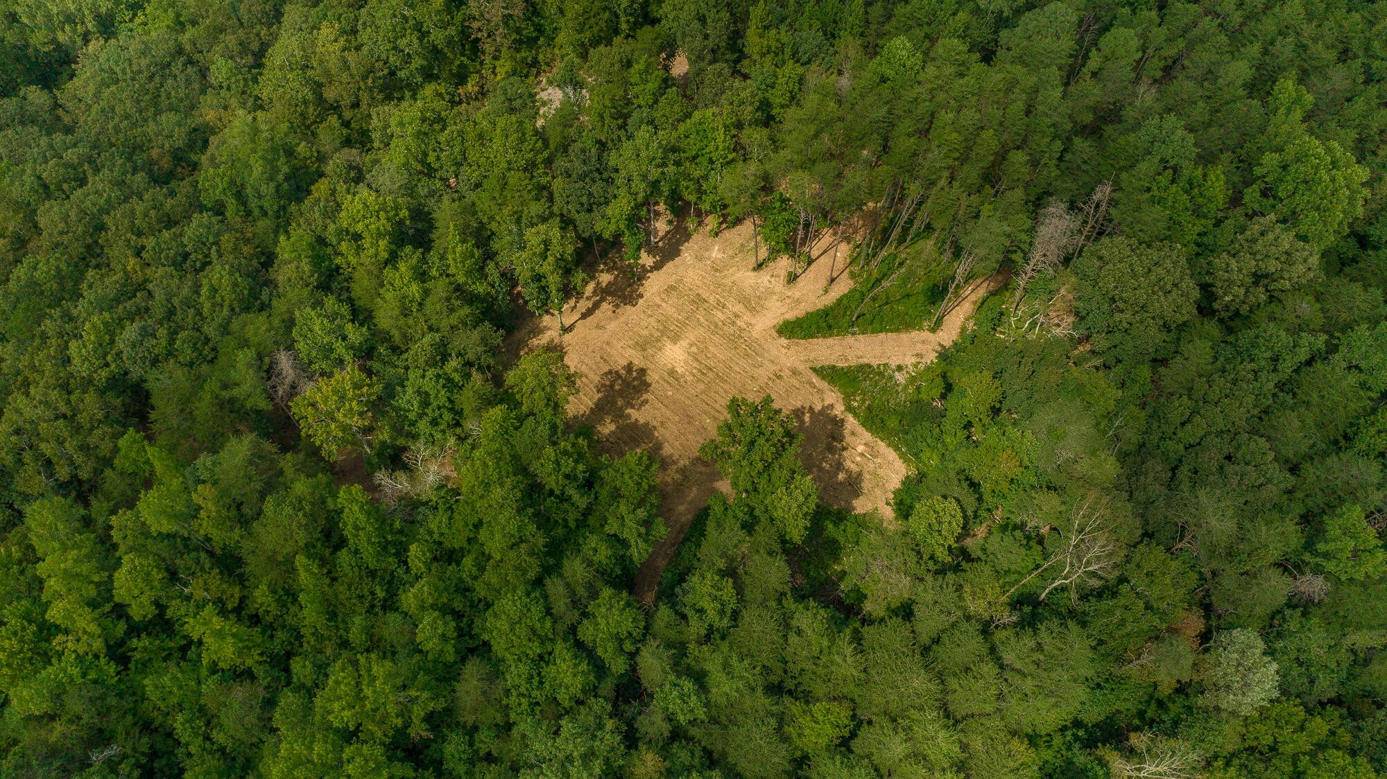 433 Coleman Road Soddy Daisy, TN 37379 - Photo 29 of 33 433 Coleman Road-27