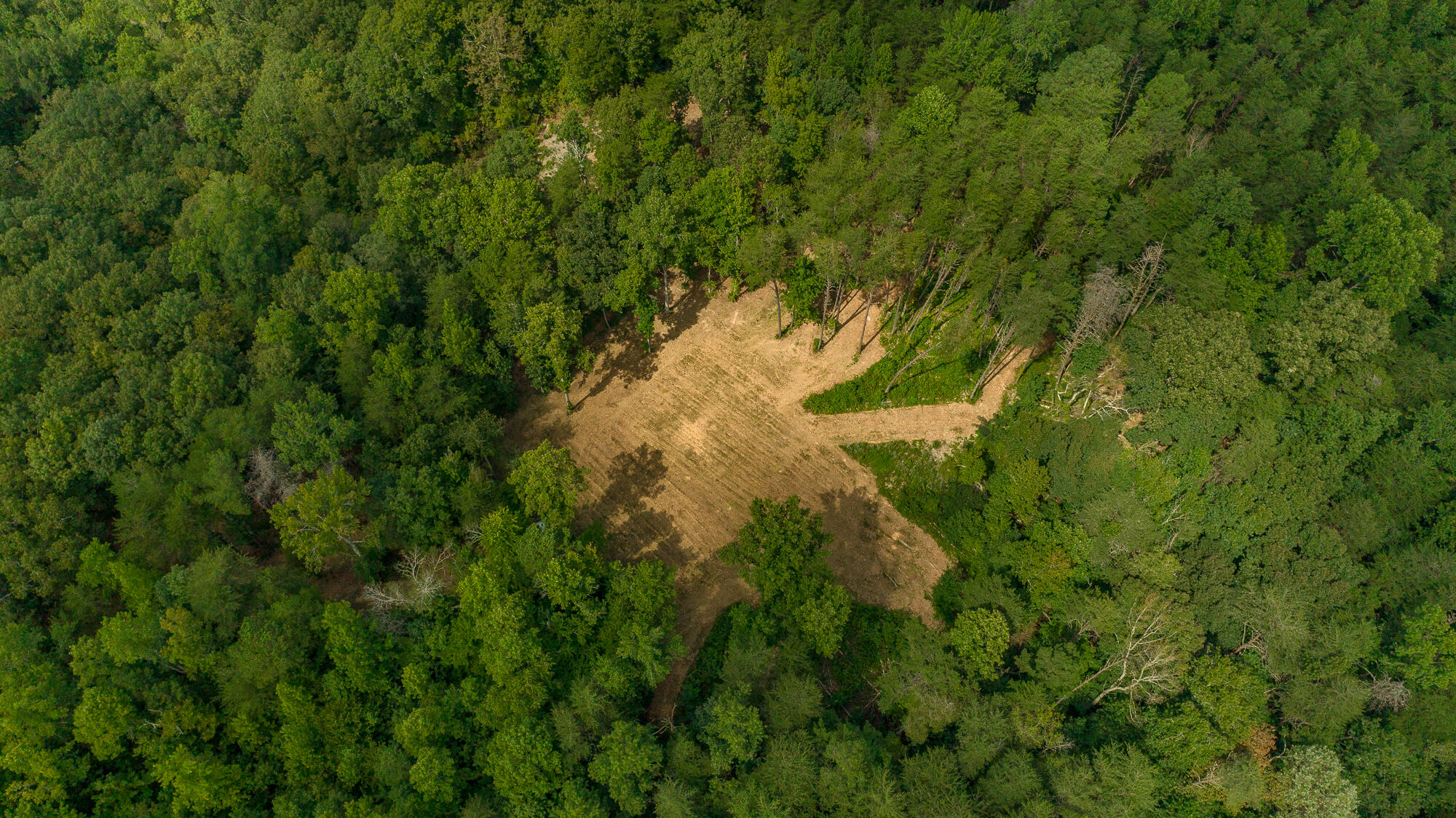 433 Coleman Road Soddy Daisy, TN 37379 - Photo 30 of 33 433 Coleman Road-28