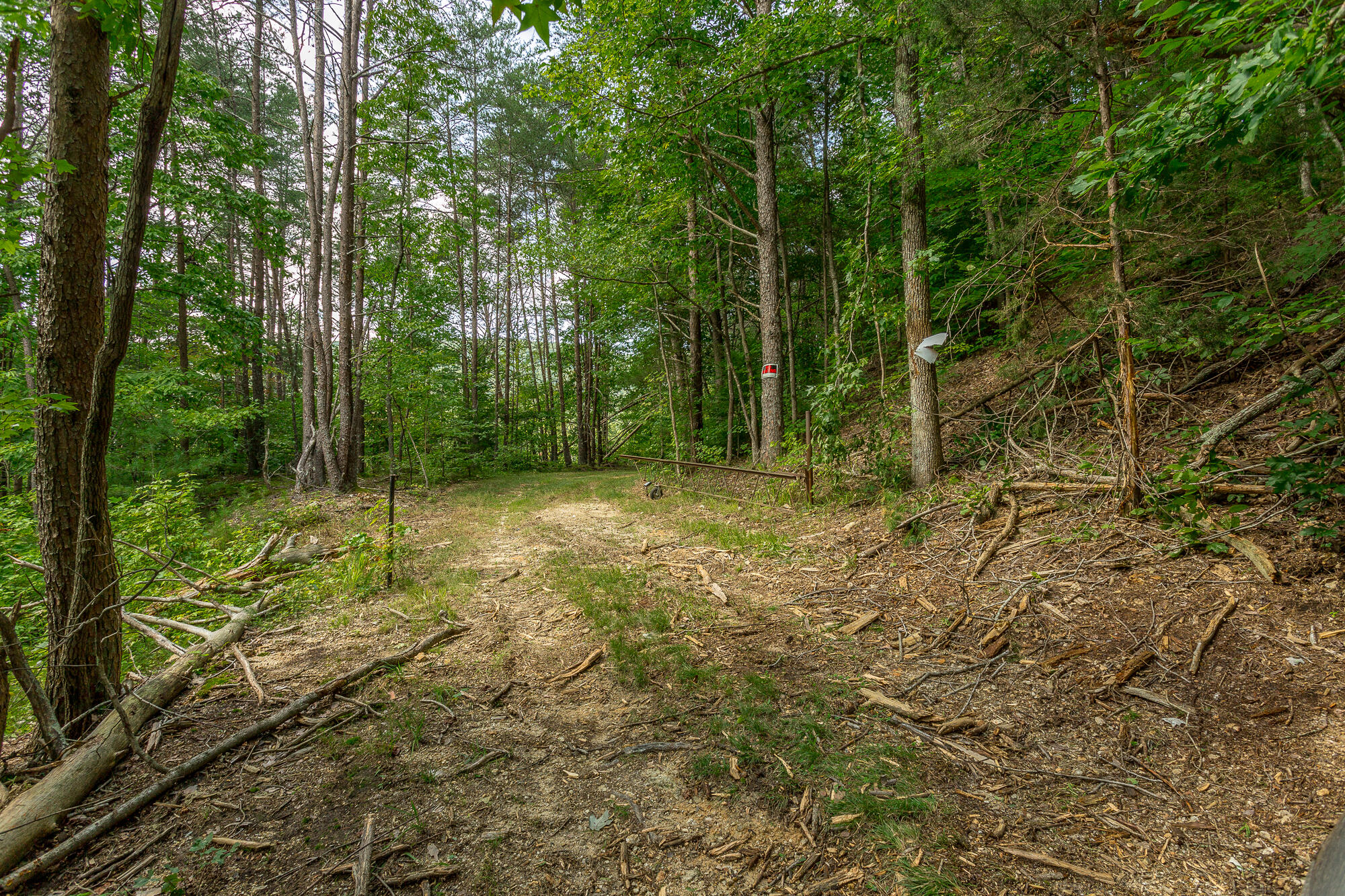 433 Coleman Road Soddy Daisy, TN 37379 - Photo 31 of 33 433 Coleman Road-29