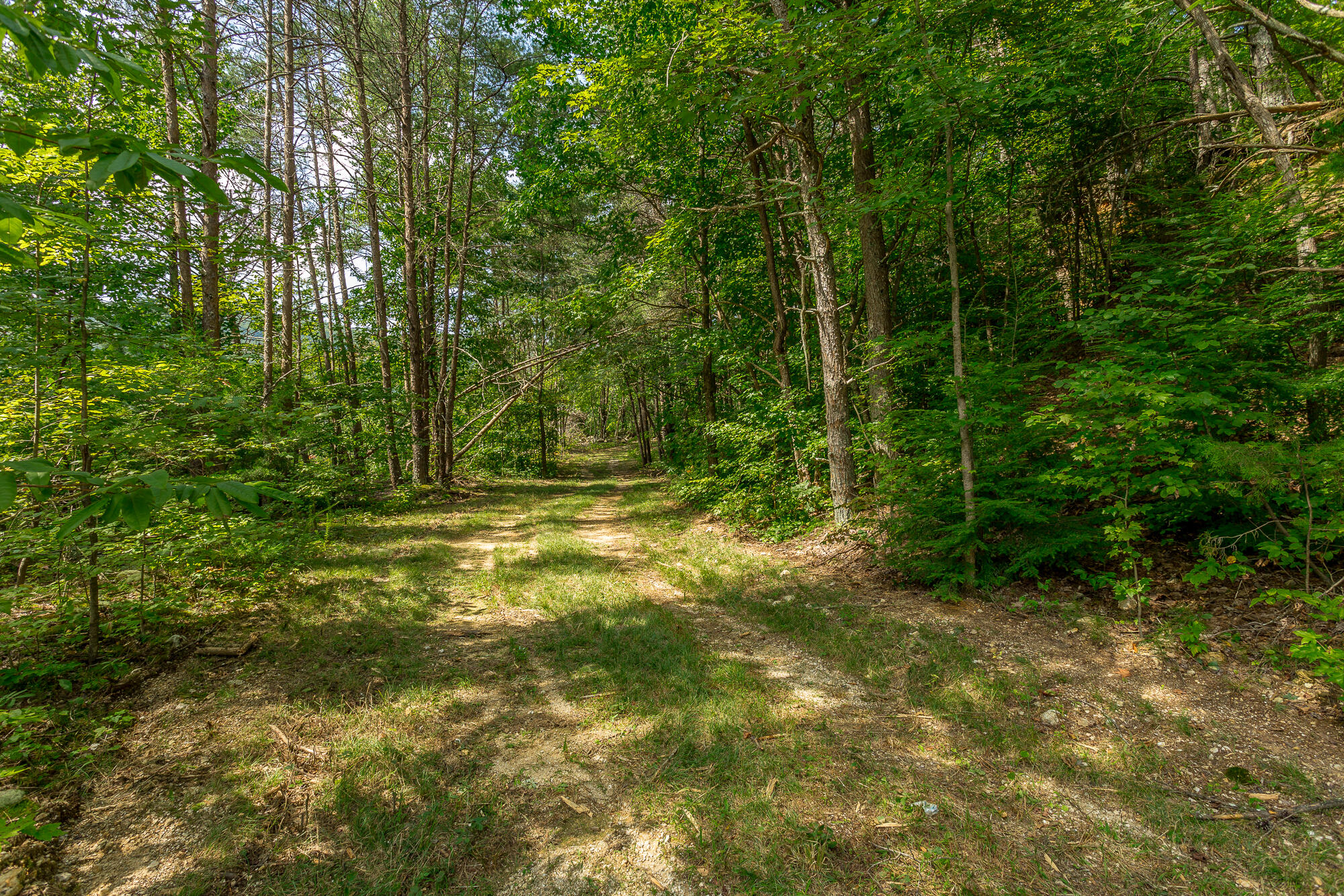 433 Coleman Road Soddy Daisy, TN 37379 - Photo 32 of 33 433 Coleman Road-30
