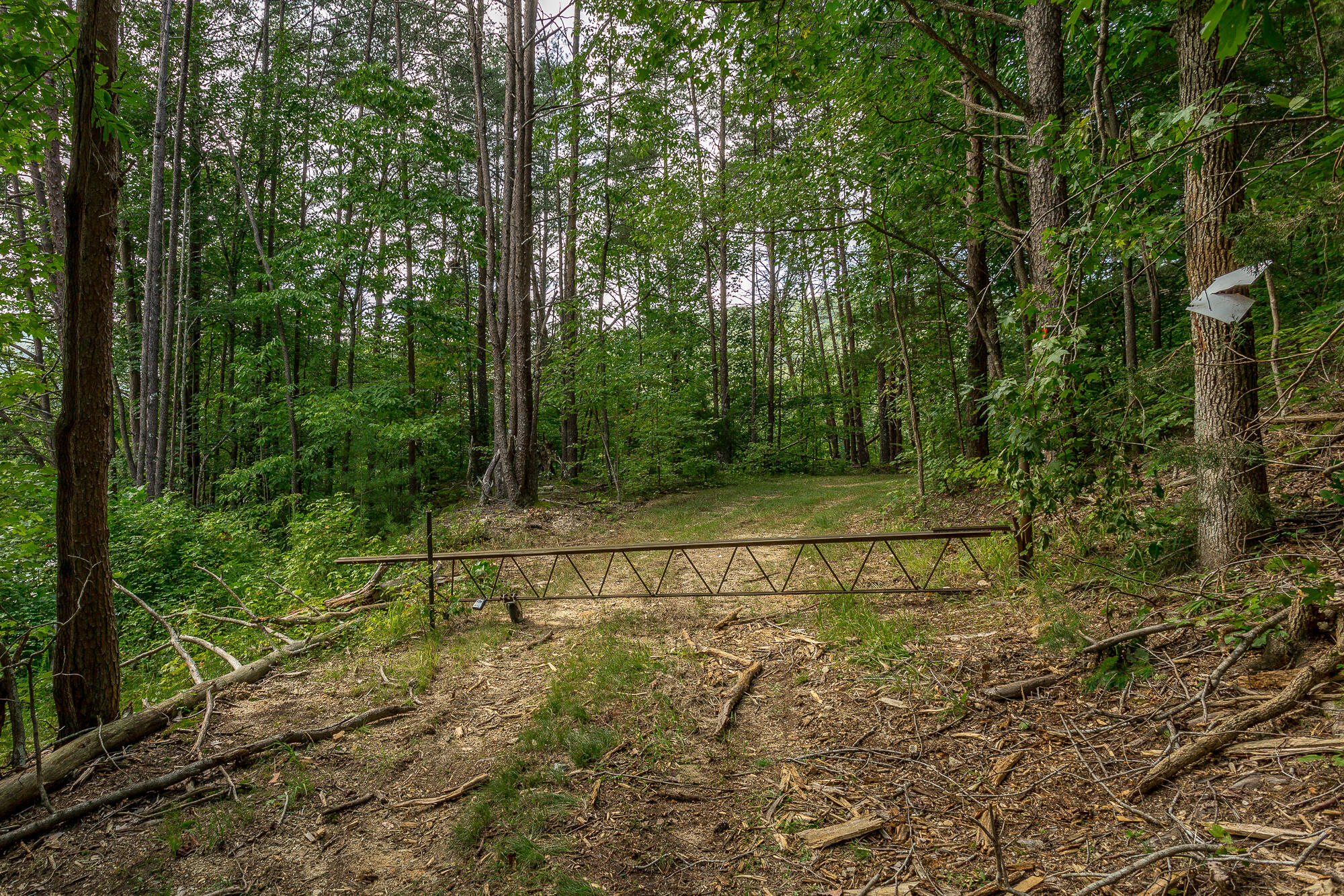 433 Coleman Road Soddy Daisy, TN 37379 - Photo 33 of 33 433 Coleman Road-31