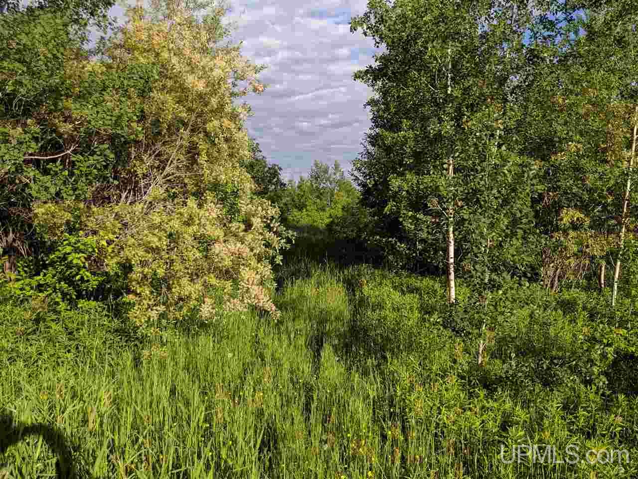 Tbd Town Line Road Skandia, MI 49885 - Photo 2 of 14