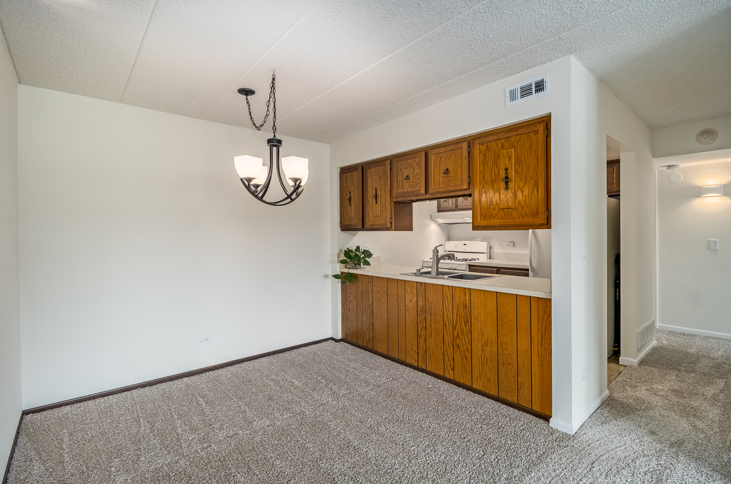 516 Timber Ridge Drive, Unit 206B Carol Stream, IL 60188 - Photo 5 of 20 a kitchen with stainless steel appliances granite countertop a sink and cabinets