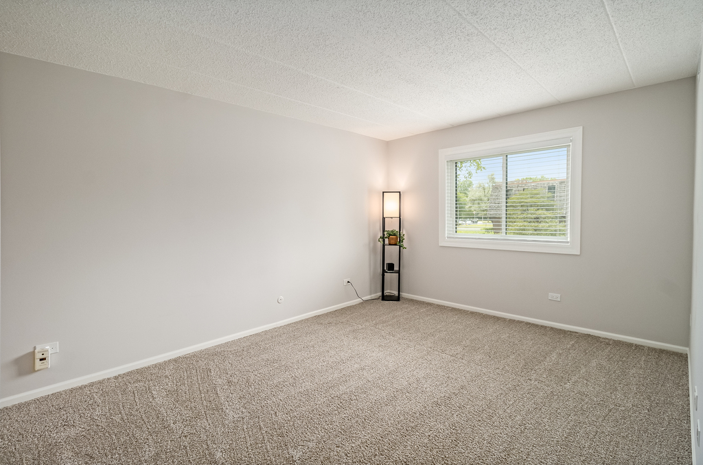 516 Timber Ridge Drive, Unit 206B Carol Stream, IL 60188 - Photo 8 of 20 an empty room with windows