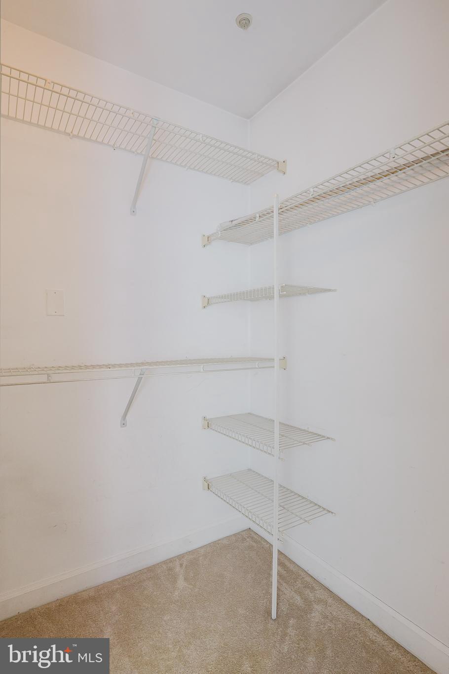 6830 H Hayley Ridge Way, Unit H Baltimore, MD 21209 - Photo 35 of 43 Additional walk-in closet