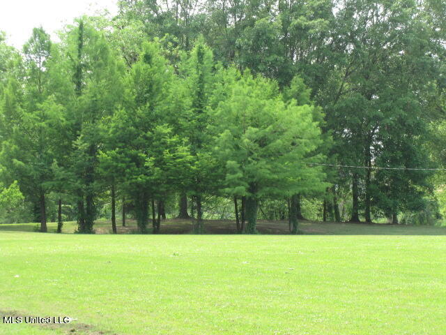 16518 Arkabutla Road Sarah, MS 38665 - Photo 23 of 26 IMG_1316