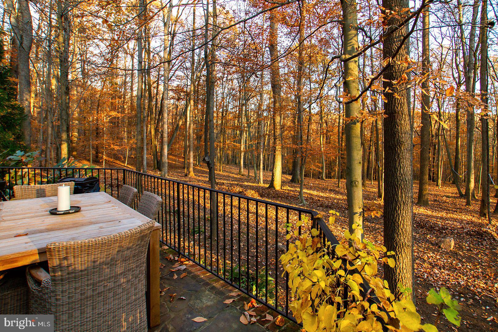 17424 Troyer Road Monkton, MD 21111 - Photo 78 of 94 Gallery Image 78