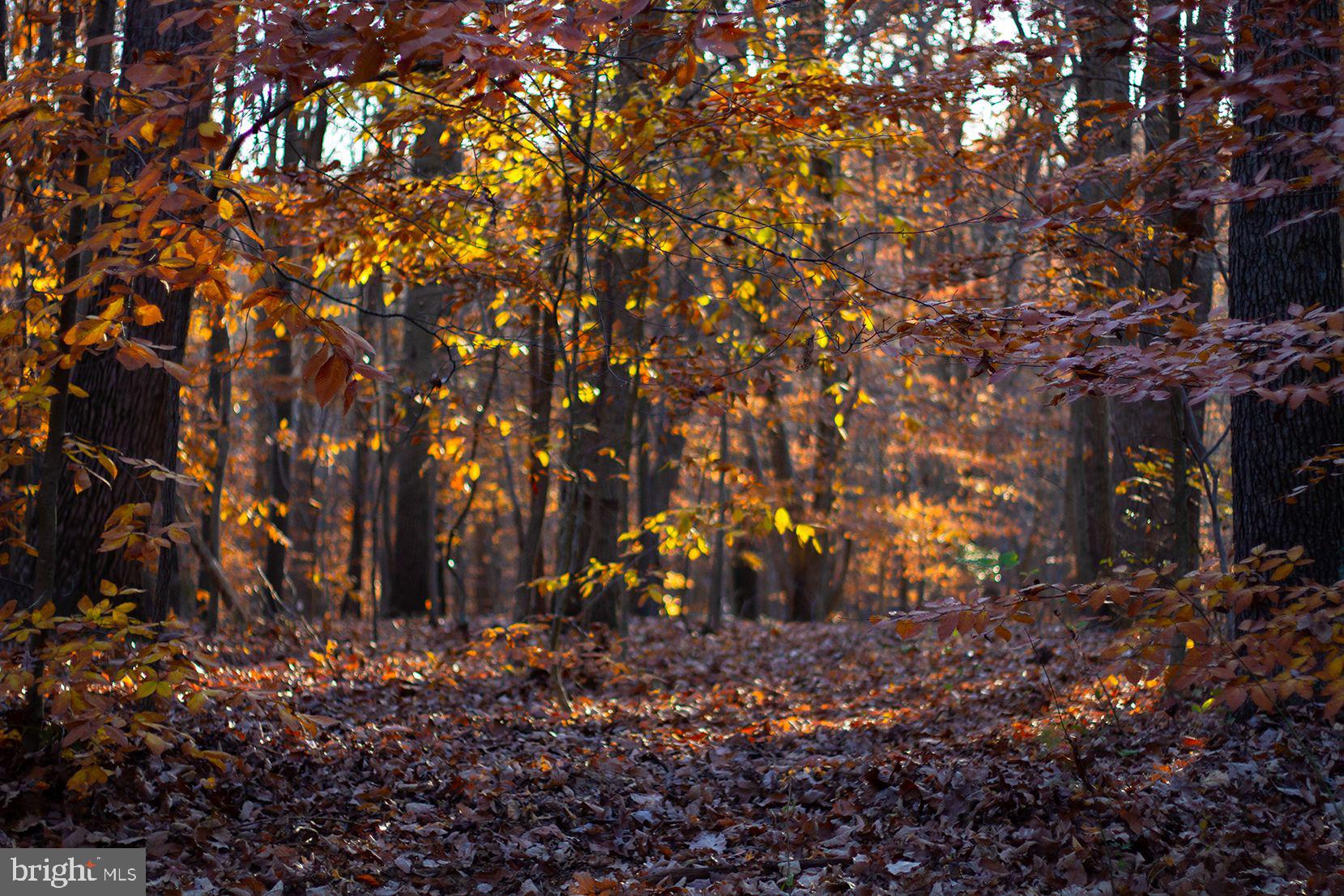 17424 Troyer Road Monkton, MD 21111 - Photo 82 of 94 Gallery Image 82