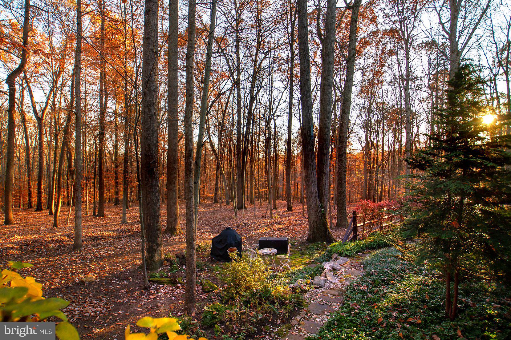 17424 Troyer Road Monkton, MD 21111 - Photo 83 of 94 Gallery Image 83